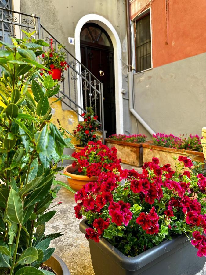 Mimmo'S House 2 Villa Catania Ngoại thất bức ảnh